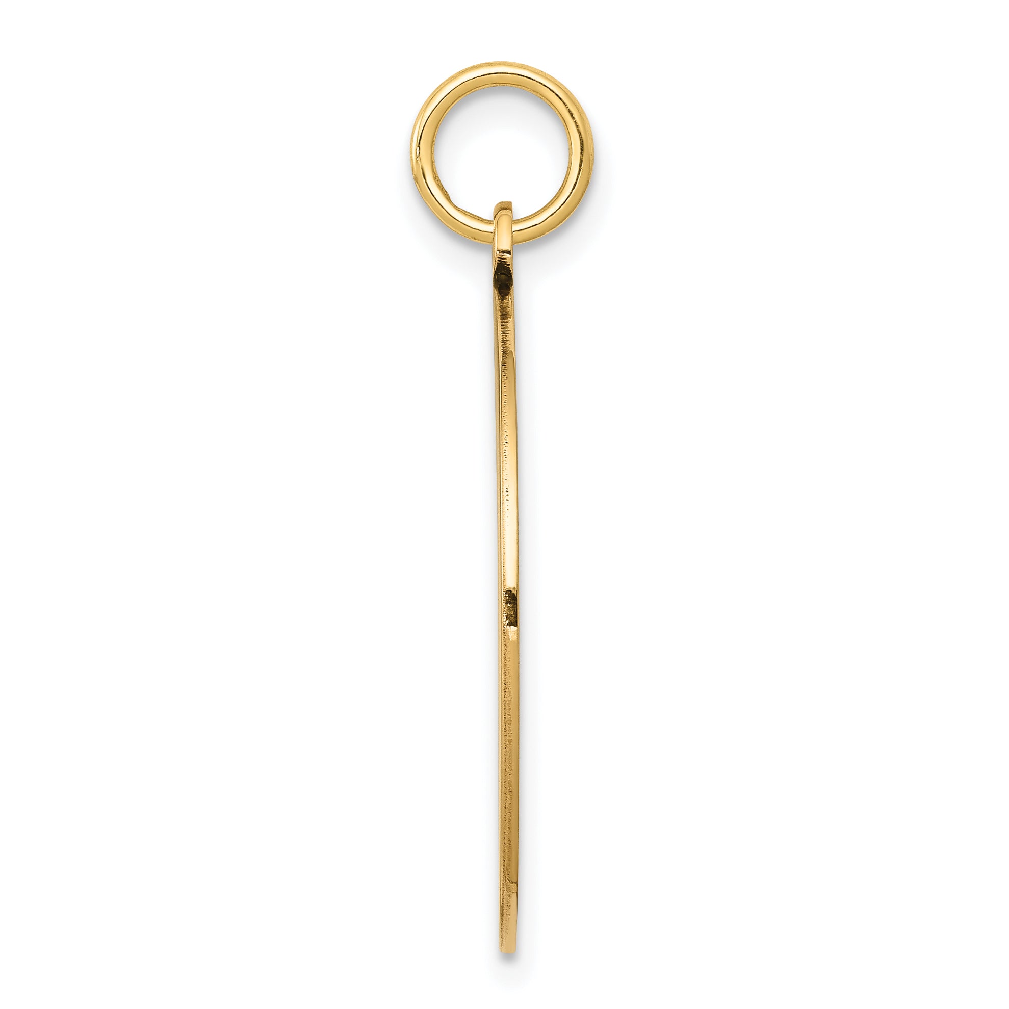 14k w/Enamel .027 Gauge Circular Engravable Disc Charm Secondary image