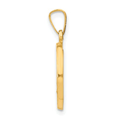 14K Polished and Satin Miraculous Medal Hollow Pendant