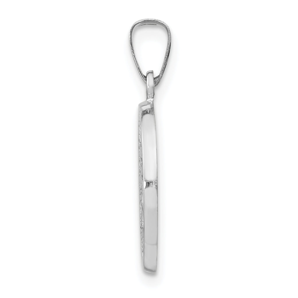 14K White Gold Polished / Satin Miraculous Medal Hollow Pendant