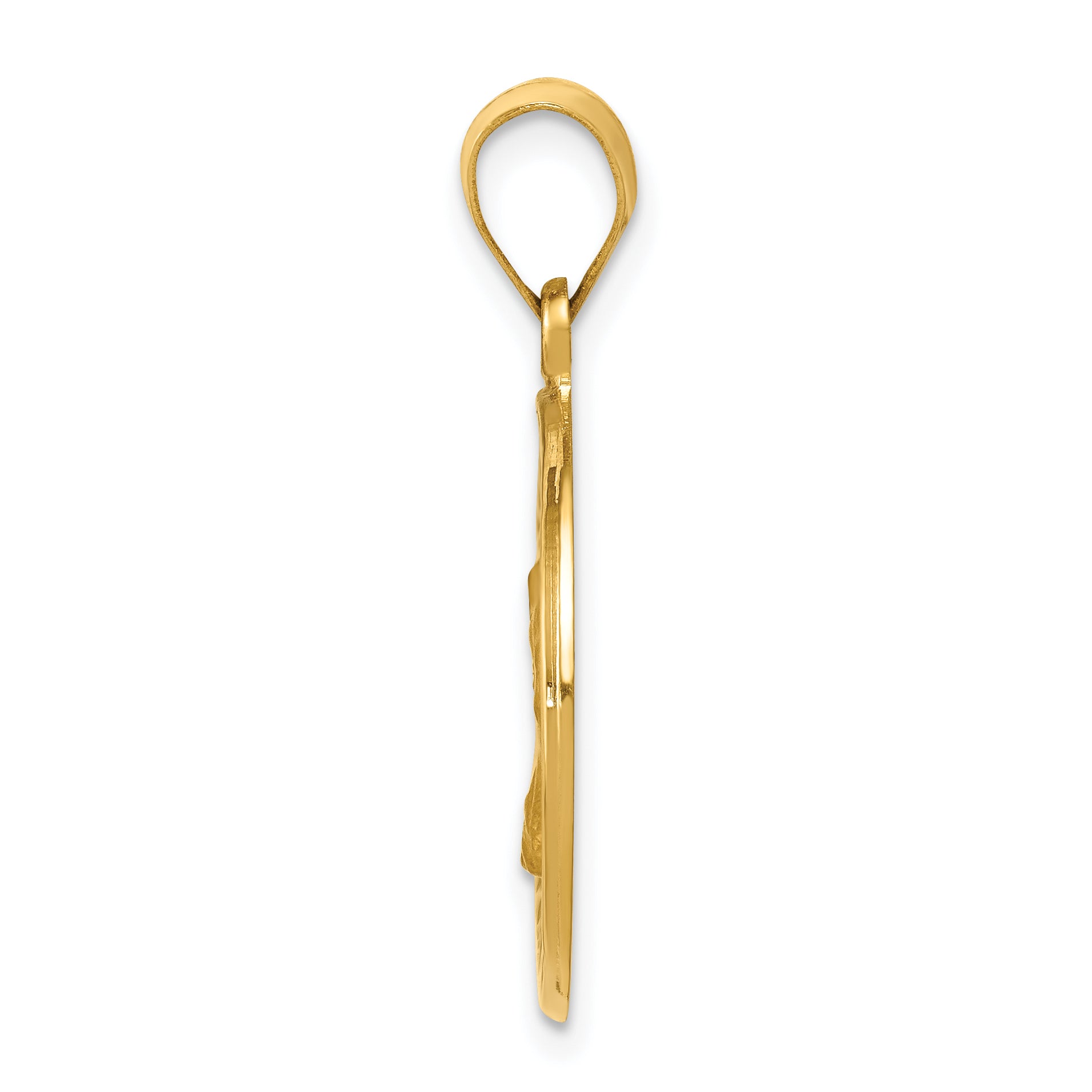 14K Polished and Satin St. Charles Medal Hollow Pendant Secondary image