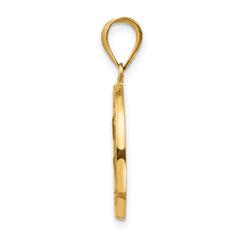 14K Polished and Satin St Peter Medal Hollow Pendant