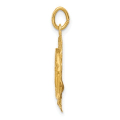 14K Polished and Satin Spanish Guardian Angel Medal Pendant