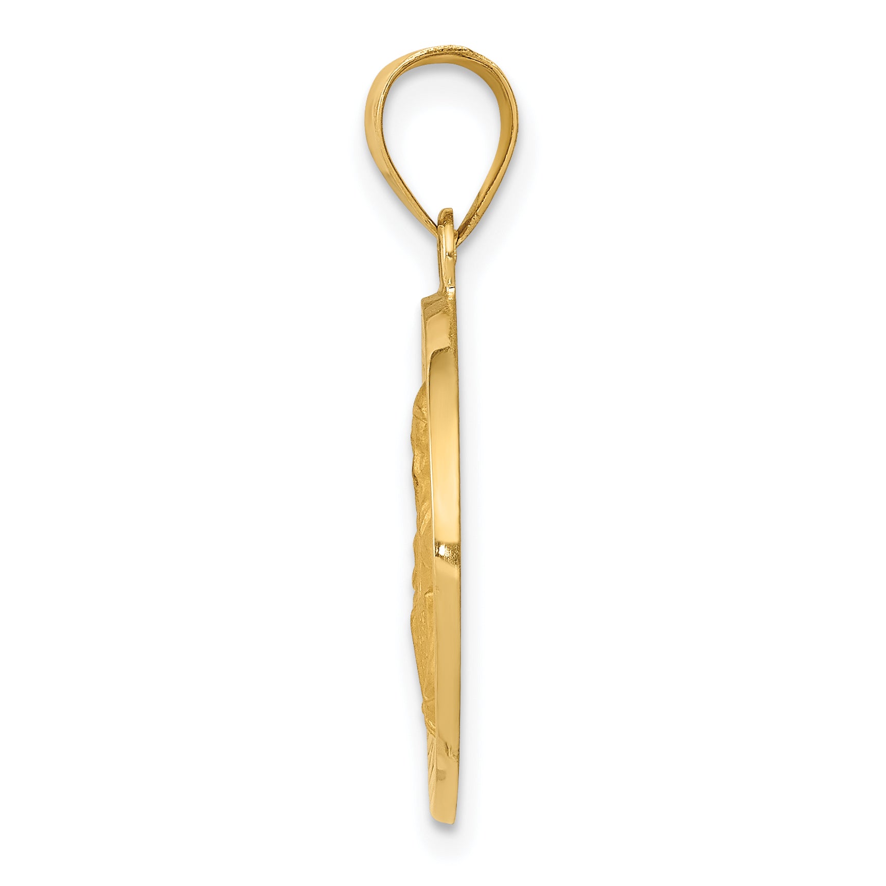 14K Polished & Satin St. Vincent Hollow Medal Pendant