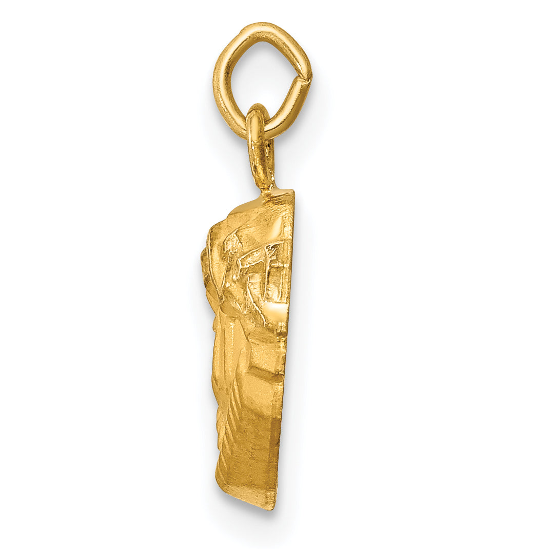 14k Hollow Polished/Satin Small Jesus Medal Secondary image
