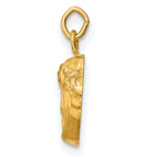 14k Hollow Polished/Satin Small Jesus Medal