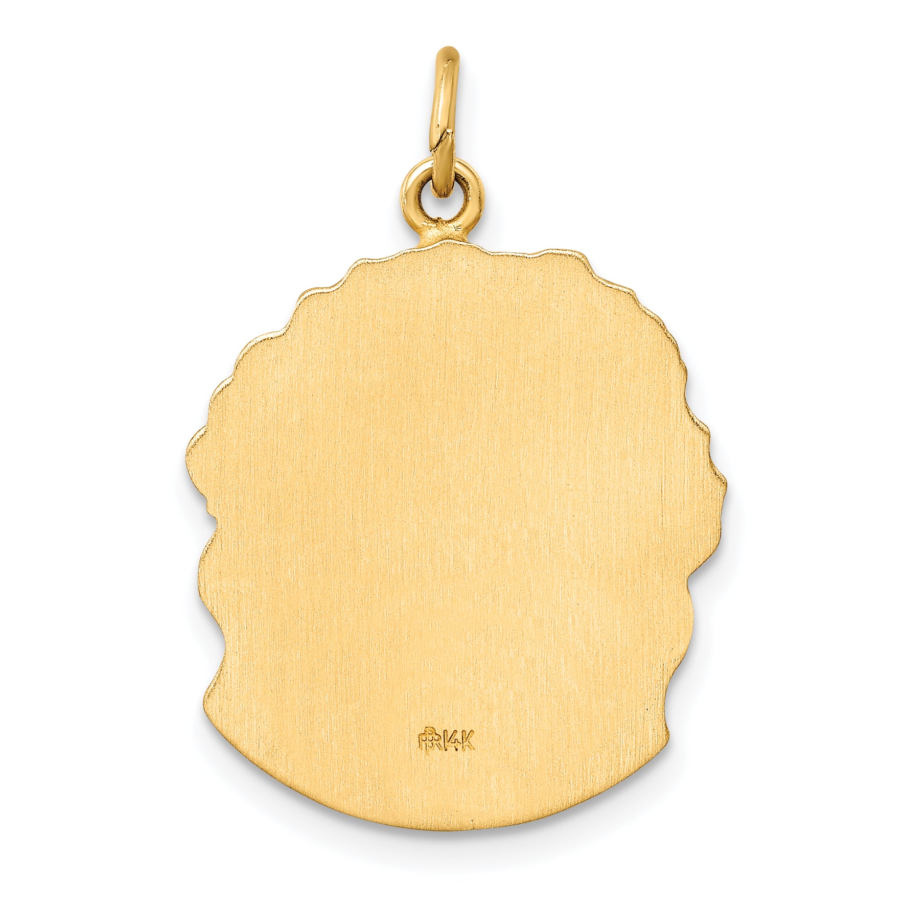 14k Hollow Polished/Satin Medium Jesus Medal