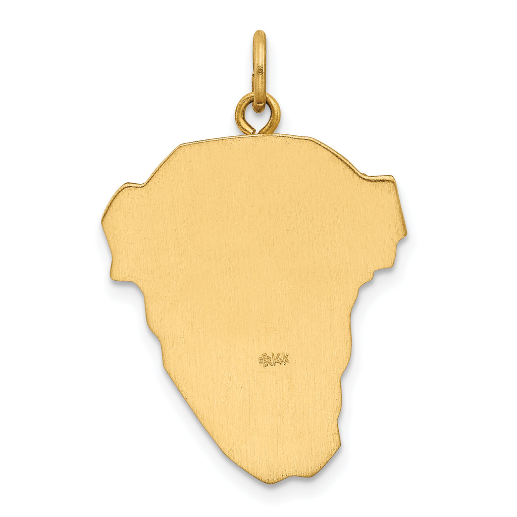 14K Hollow Polished/Satin w/Rhodium Large Jesus Medal