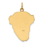 14K Hollow Polished/Satin w/Rhodium Large Jesus Medal