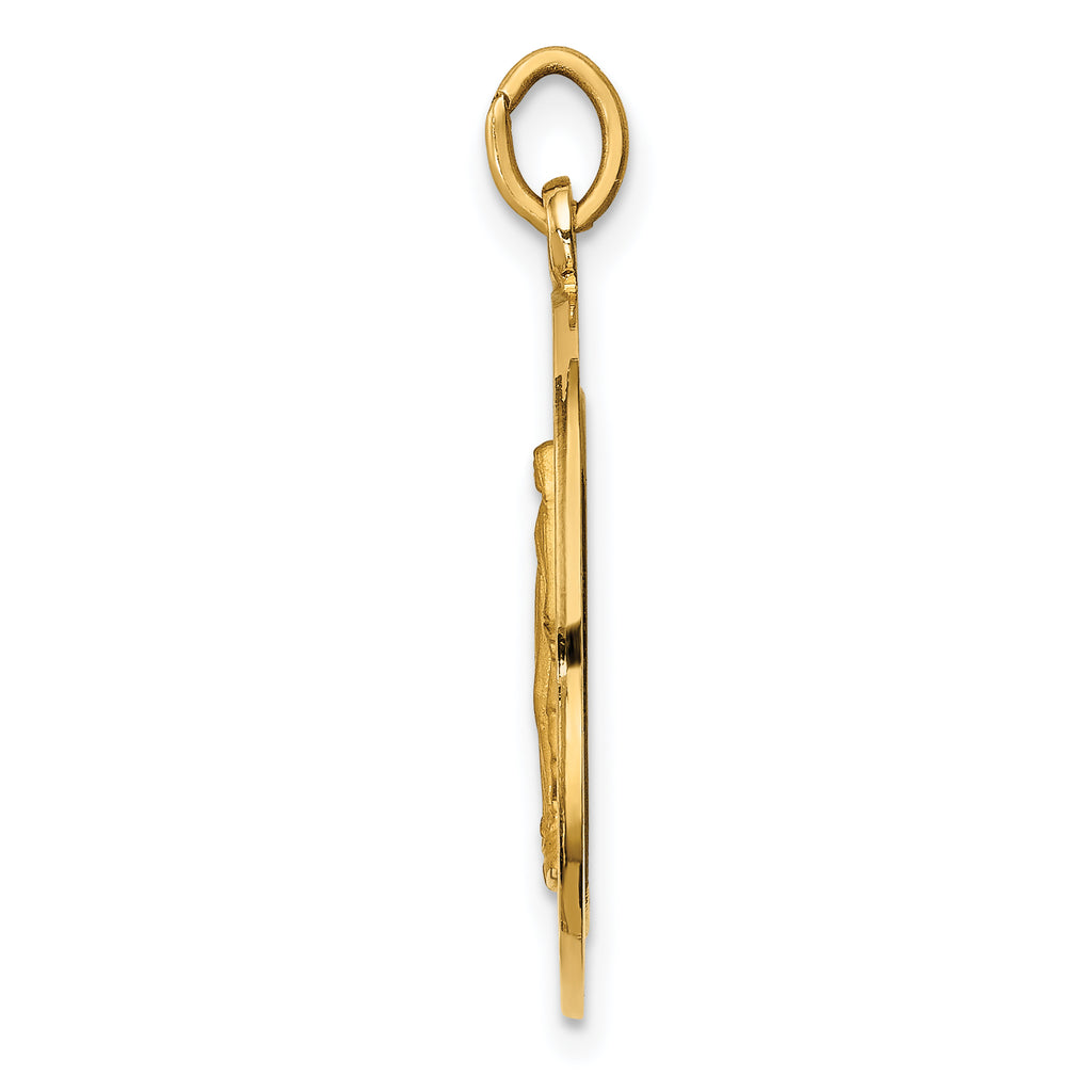 14k Solid Polished/Satin Medium Round Miraculous Medal
