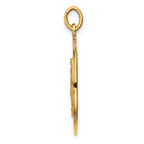 14k Solid Polished/Satin Medium Round Miraculous Medal