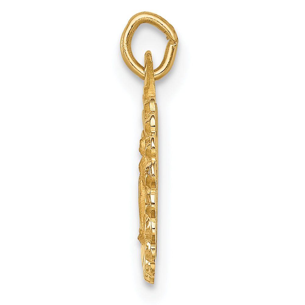 14k Solid Polished/Satin Tiny Round Scalloped Miraculous Medal Secondary image