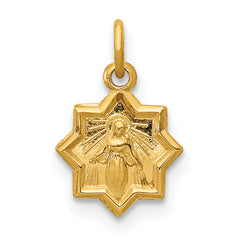 14k Blessed Mary Charm