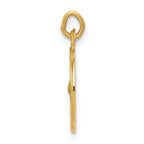 14K Holy Spirit Medal Charm