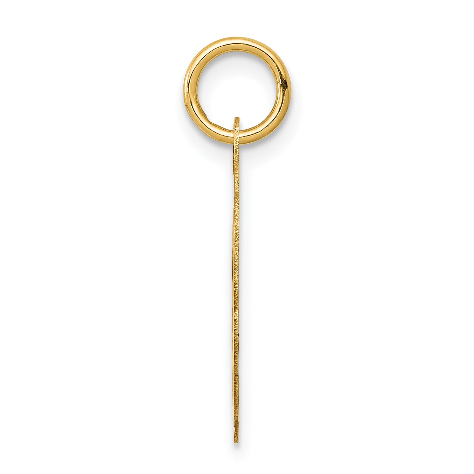 14K Solid Star of David Disc Charm