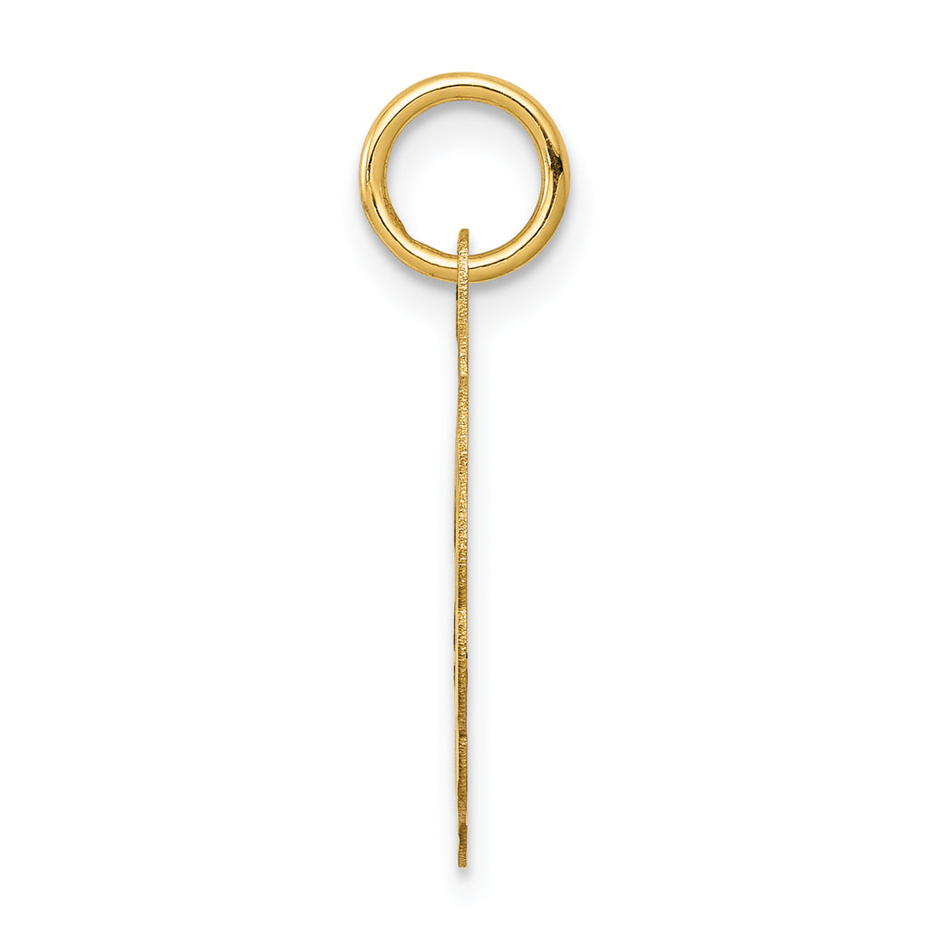 14K Solid Star of David Disc Charm