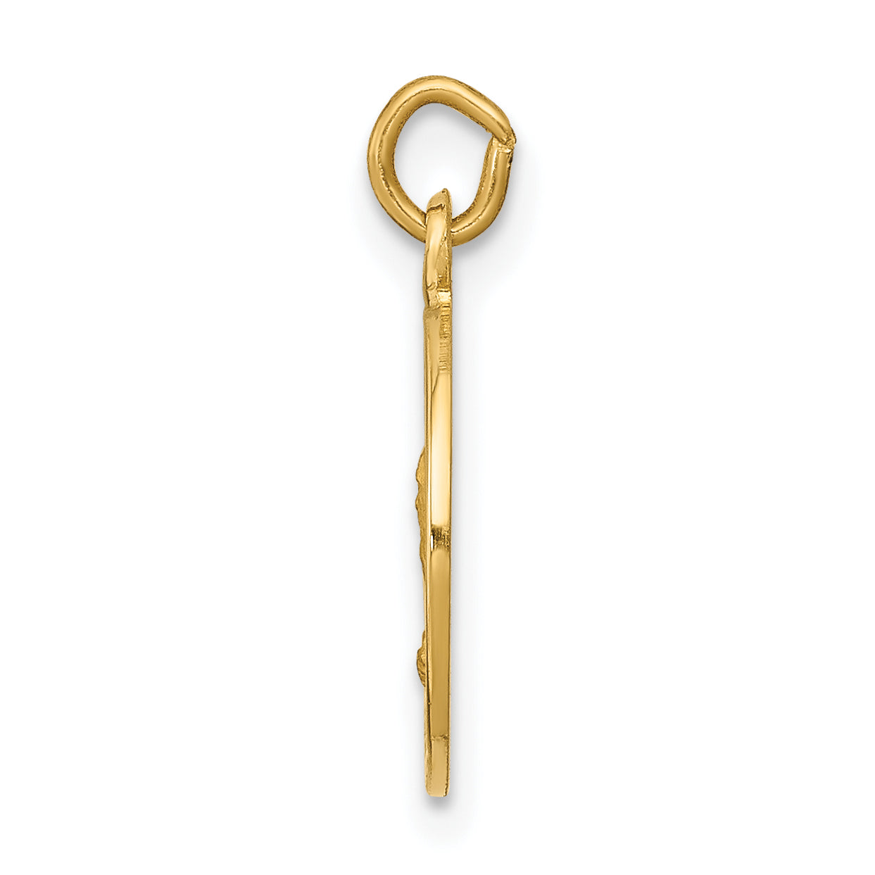 14K Saint Andrew Medal Charm Secondary image