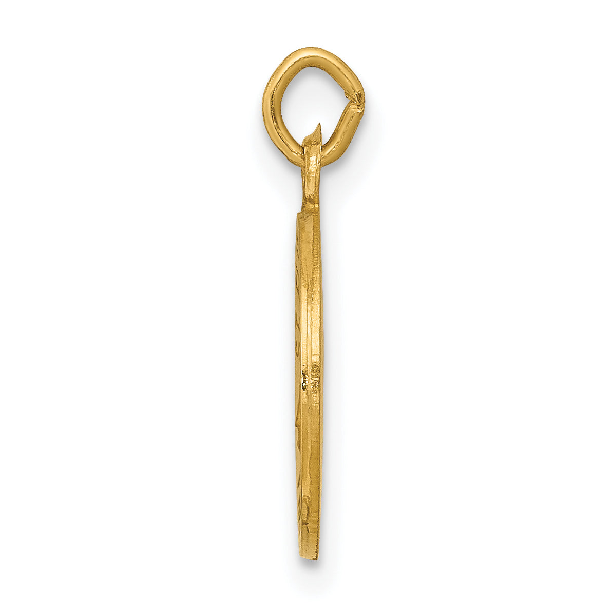 14K Saint Elizabeth Seton Medal Charm Secondary image