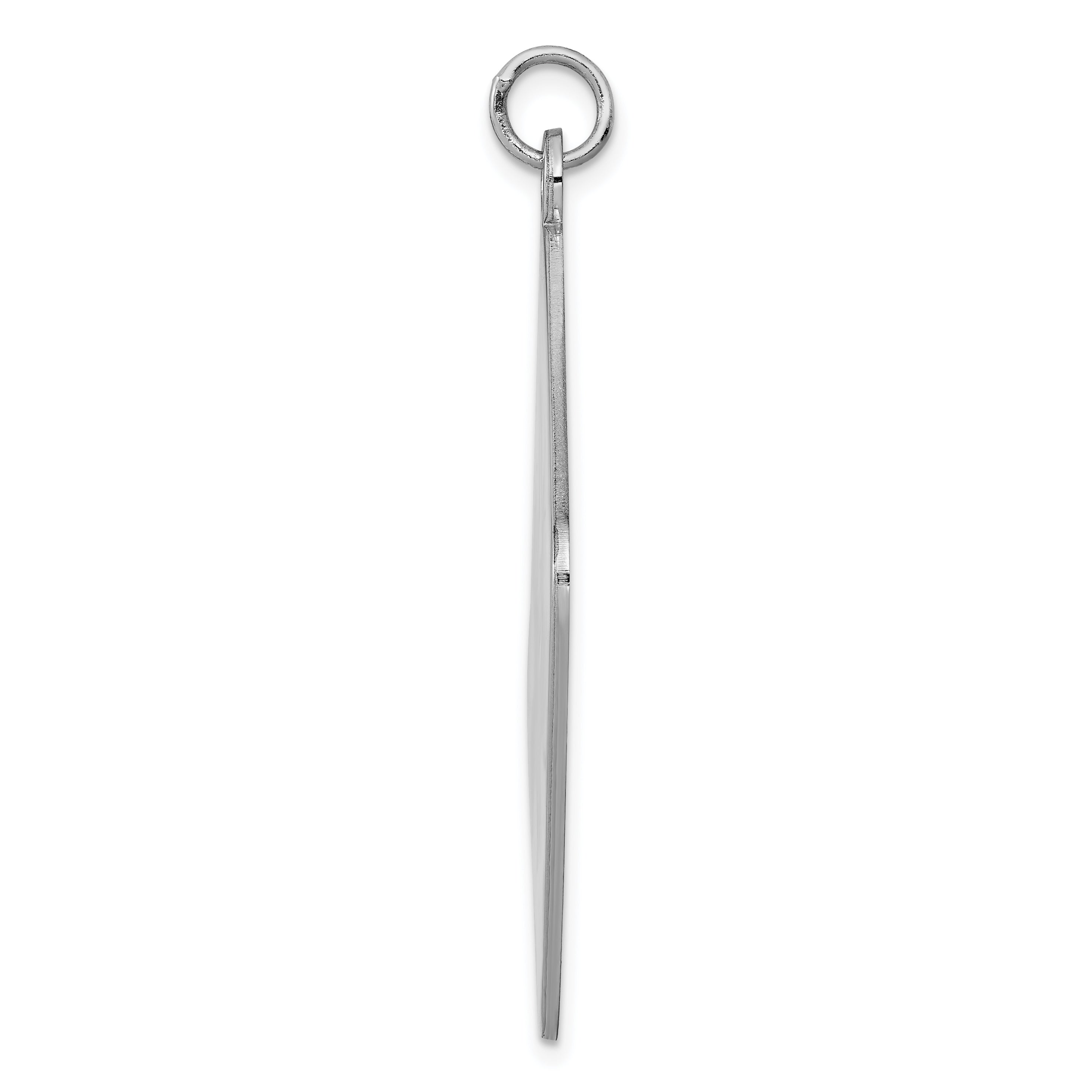 Sterling Silver Rhodium-plated Medical Jewelry Pendant Secondary image