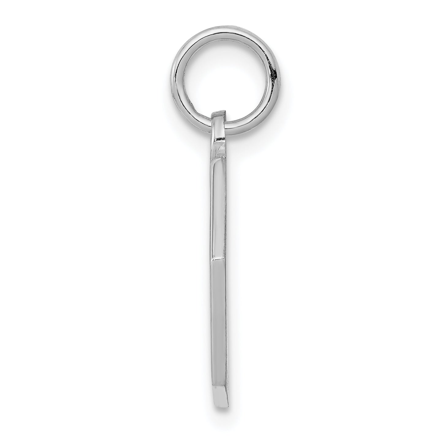 Sterling Silver Rhodium-plated Medical Jewelry Pendant Secondary image