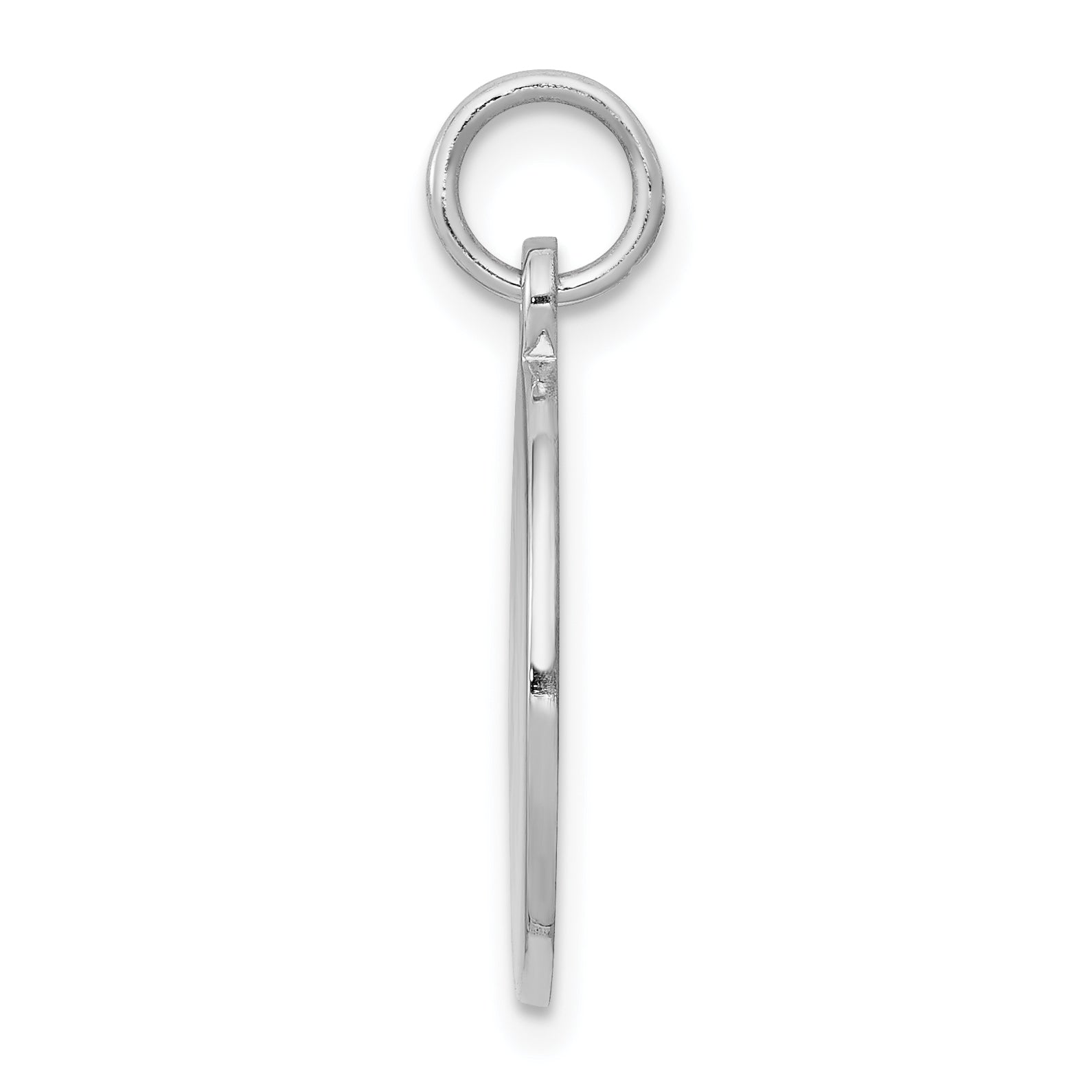 Sterling Silver Rhodium-plated Medical Jewelry Pendant Secondary image