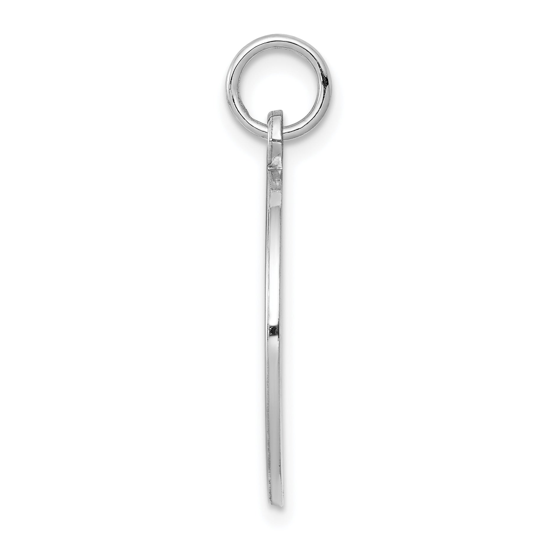 Sterling Silver Rhodium-plated Medical Jewelry Pendant Secondary image
