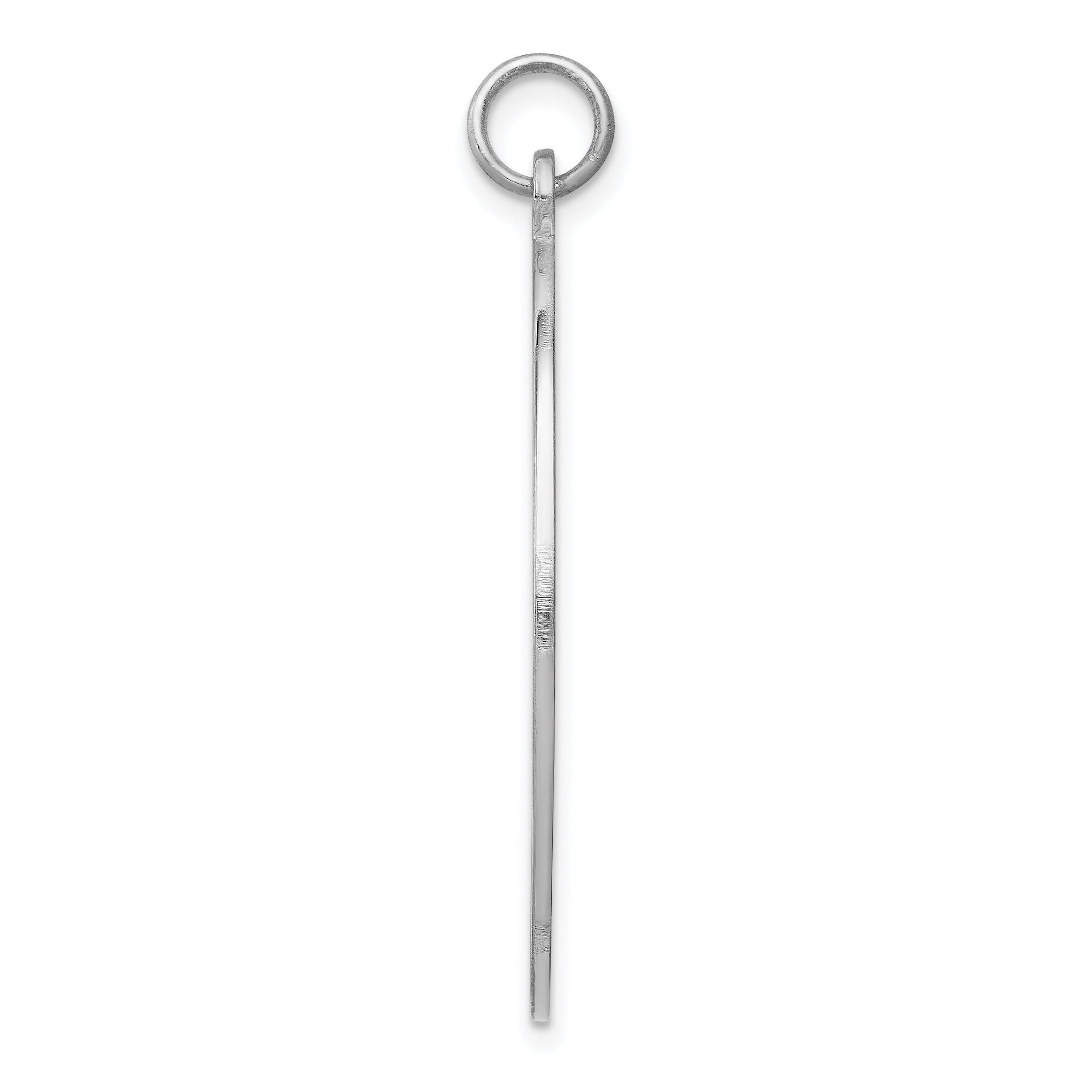 Sterling Silver Rhodium-plated Medical Jewelry Pendant Secondary image
