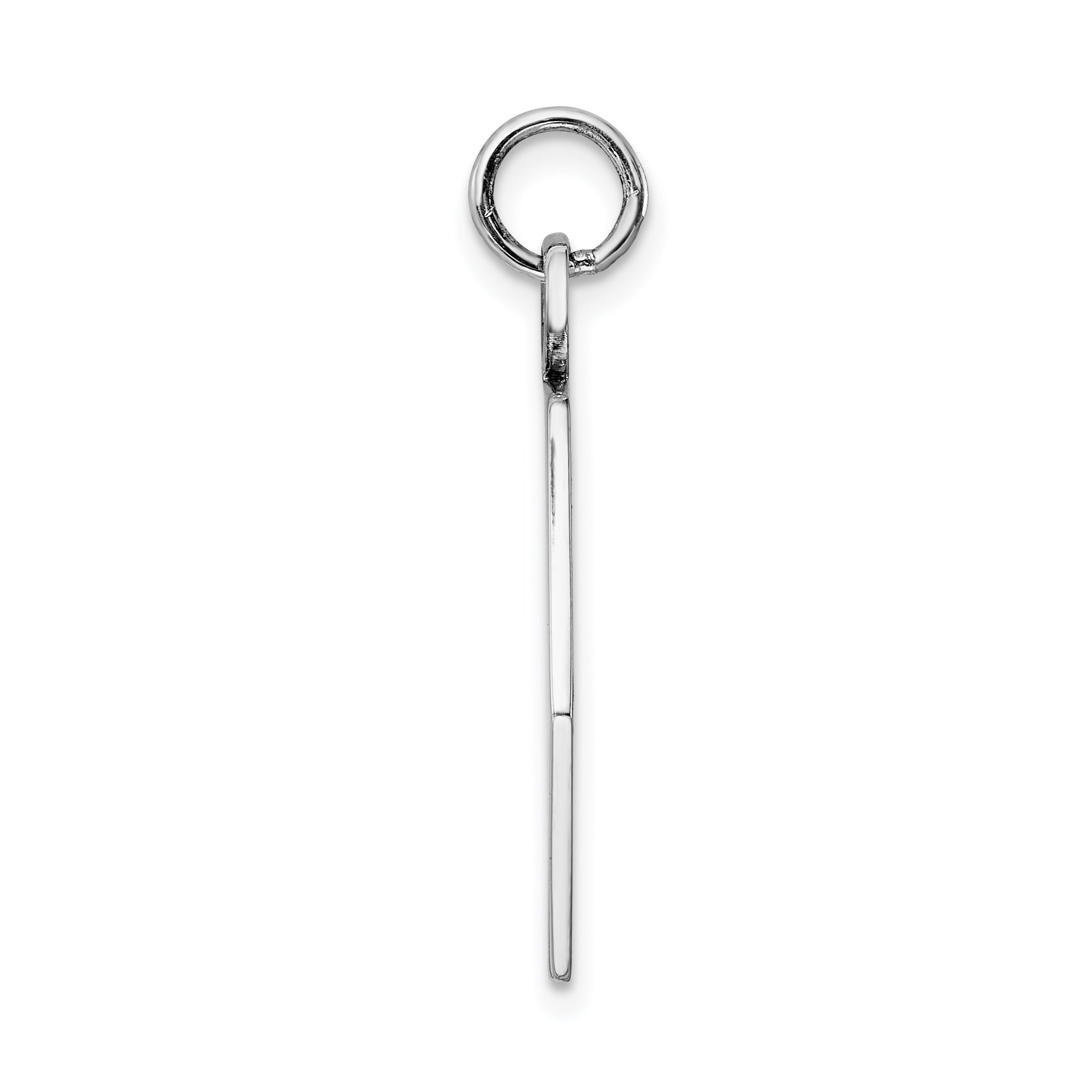 Sterling Silver Rhodium-plated Medical Jewelry Pendant Secondary image