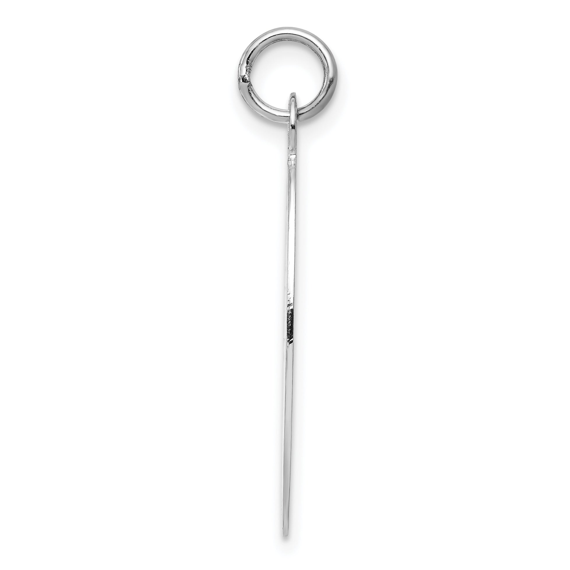 14k White Gold Plain .018 Gauge Elliptical Engravable Disc Charm Secondary image