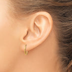 Polished Endless Tube Hoop Earrings in 14K Yellow Gold