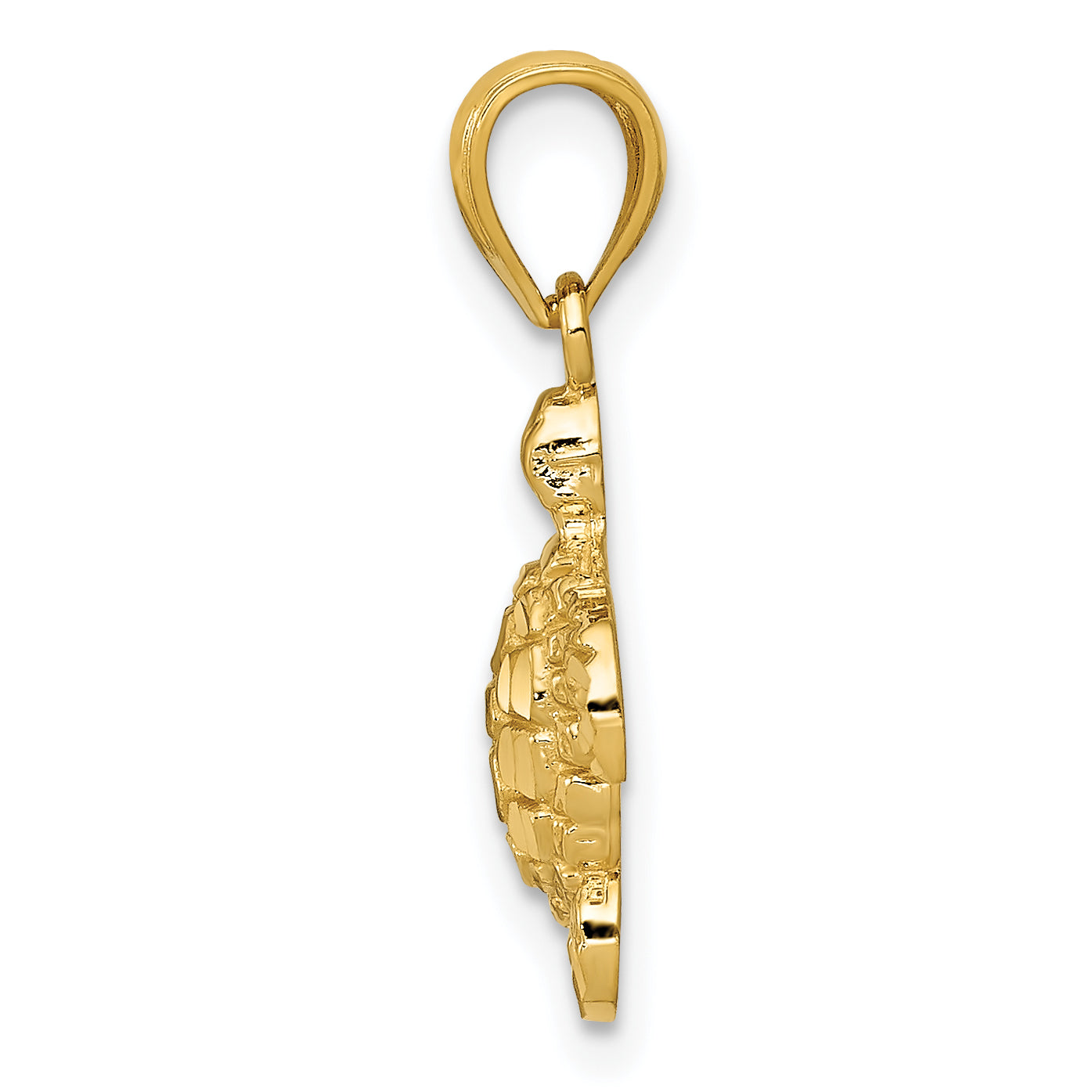 14K Gold Polished & Textured Small DC Turtle Pendant Secondary image