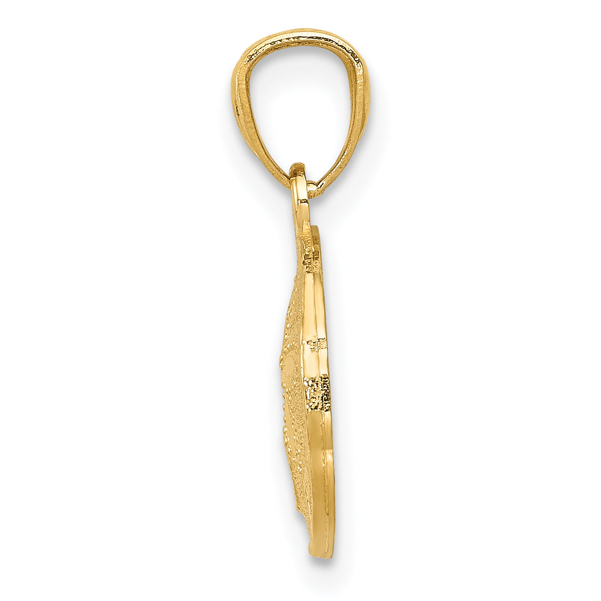 14K Gold Polished & Textured Sand Dollar Pendant Secondary image