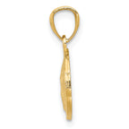 14K Gold Polished & Textured Sand Dollar Pendant