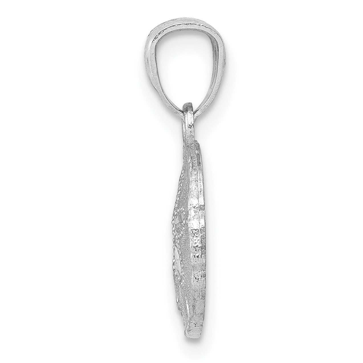 14K White Gold Polished & Textured Sand Dollar Pendant Secondary image