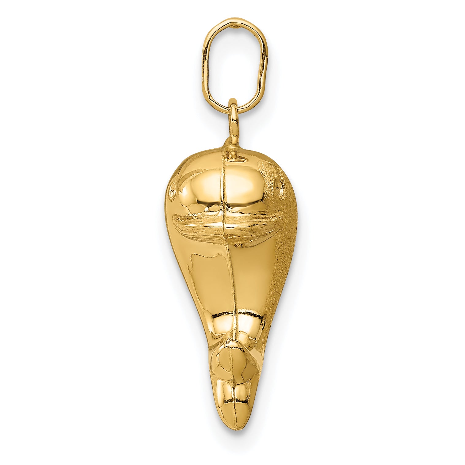 14k Hollow Satin & Polished Fish Charm Secondary image