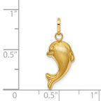 14k Hollow Satin & Polished Fish Charm