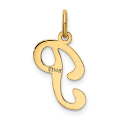 14K Yellow Gold Initial P Charm