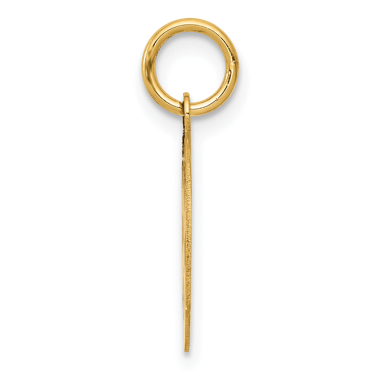 14K Small PARAMEDIC Medical Charm Secondary image
