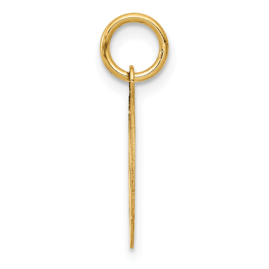 14K Small PARAMEDIC Medical Charm