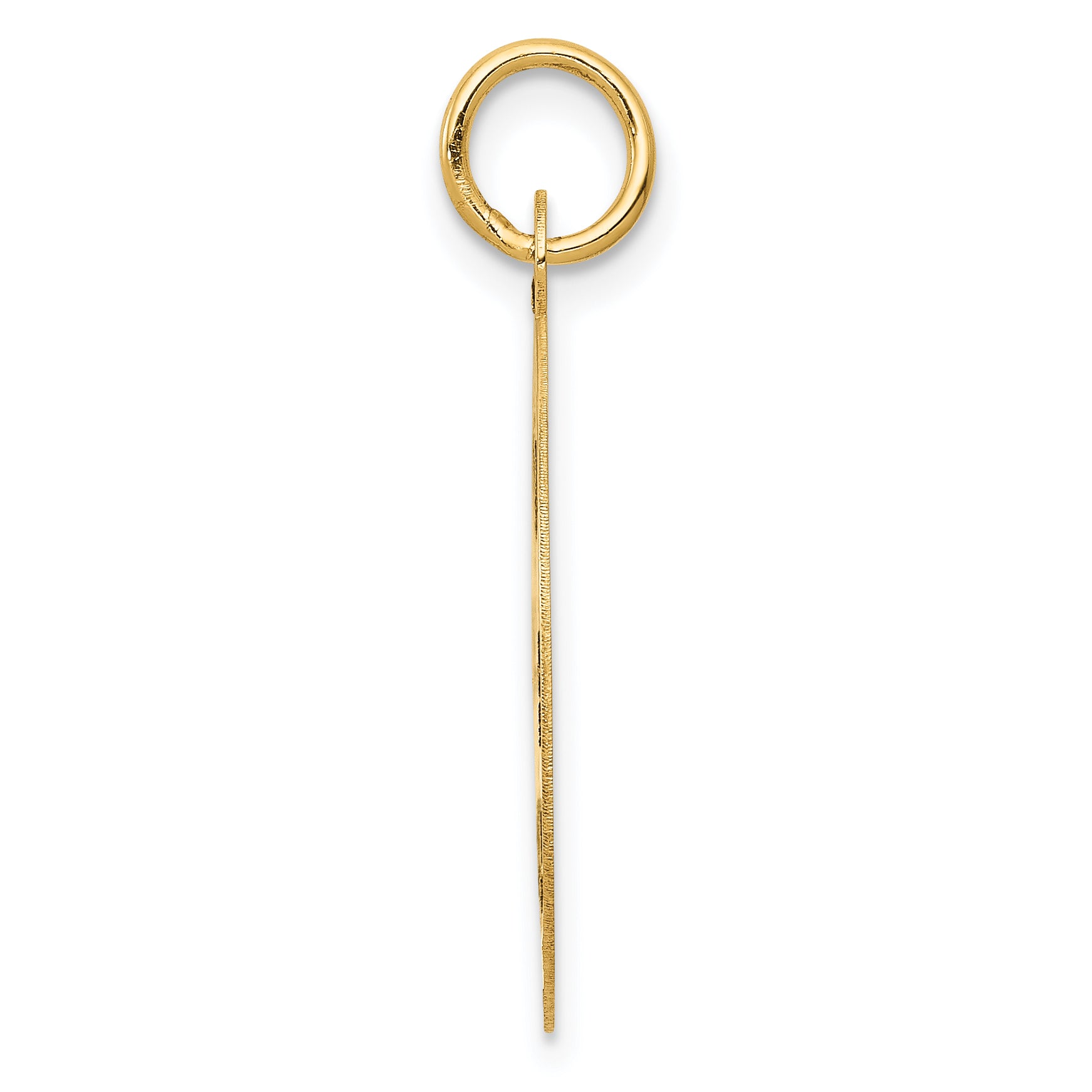 14K Medium PARAMEDIC Medical Pendant Secondary image