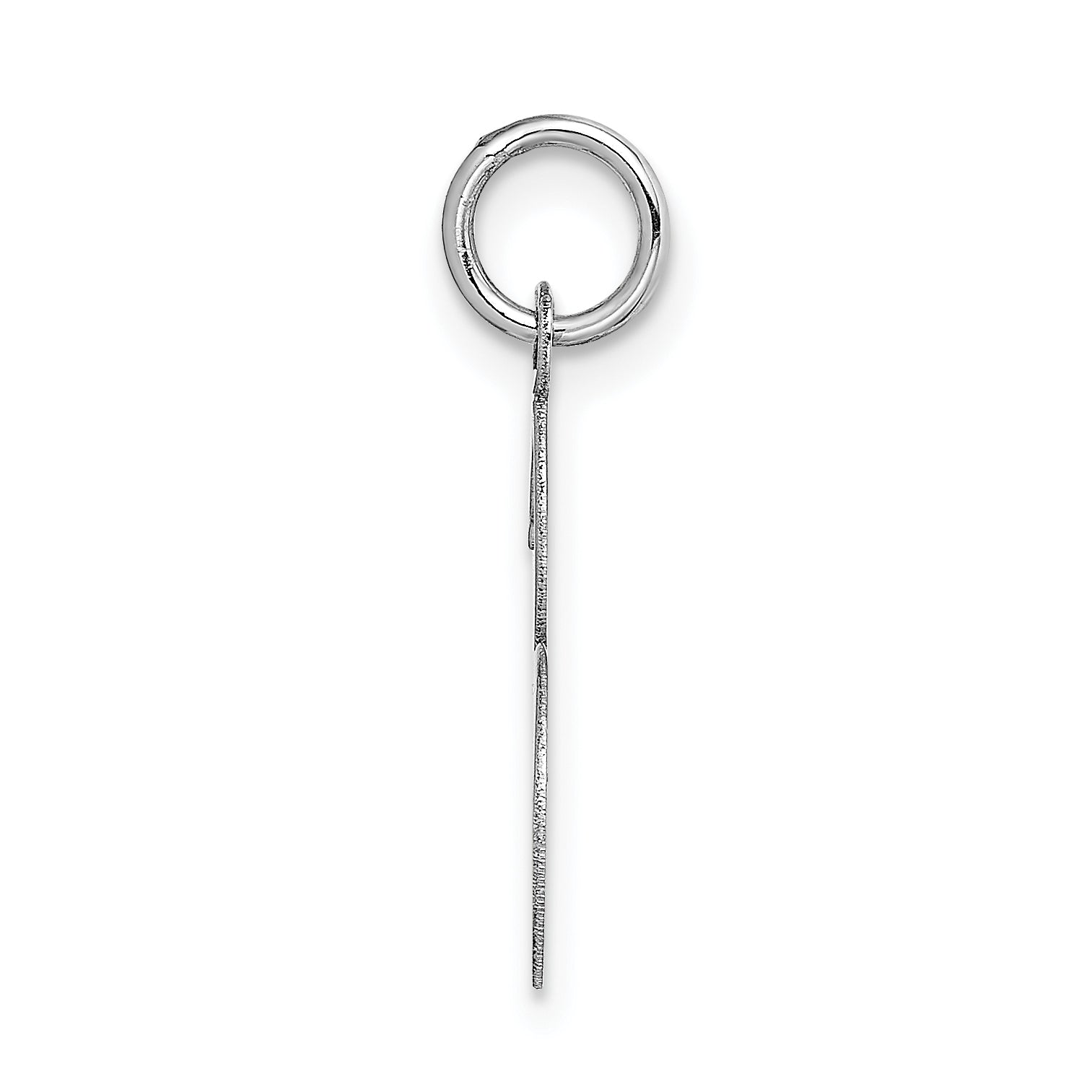 14K White Gold Medium Fancy Script Initial S Char
