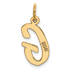 14K Medium Script Initial G Charm