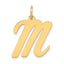 14k Large Script Letter M Initial Charm