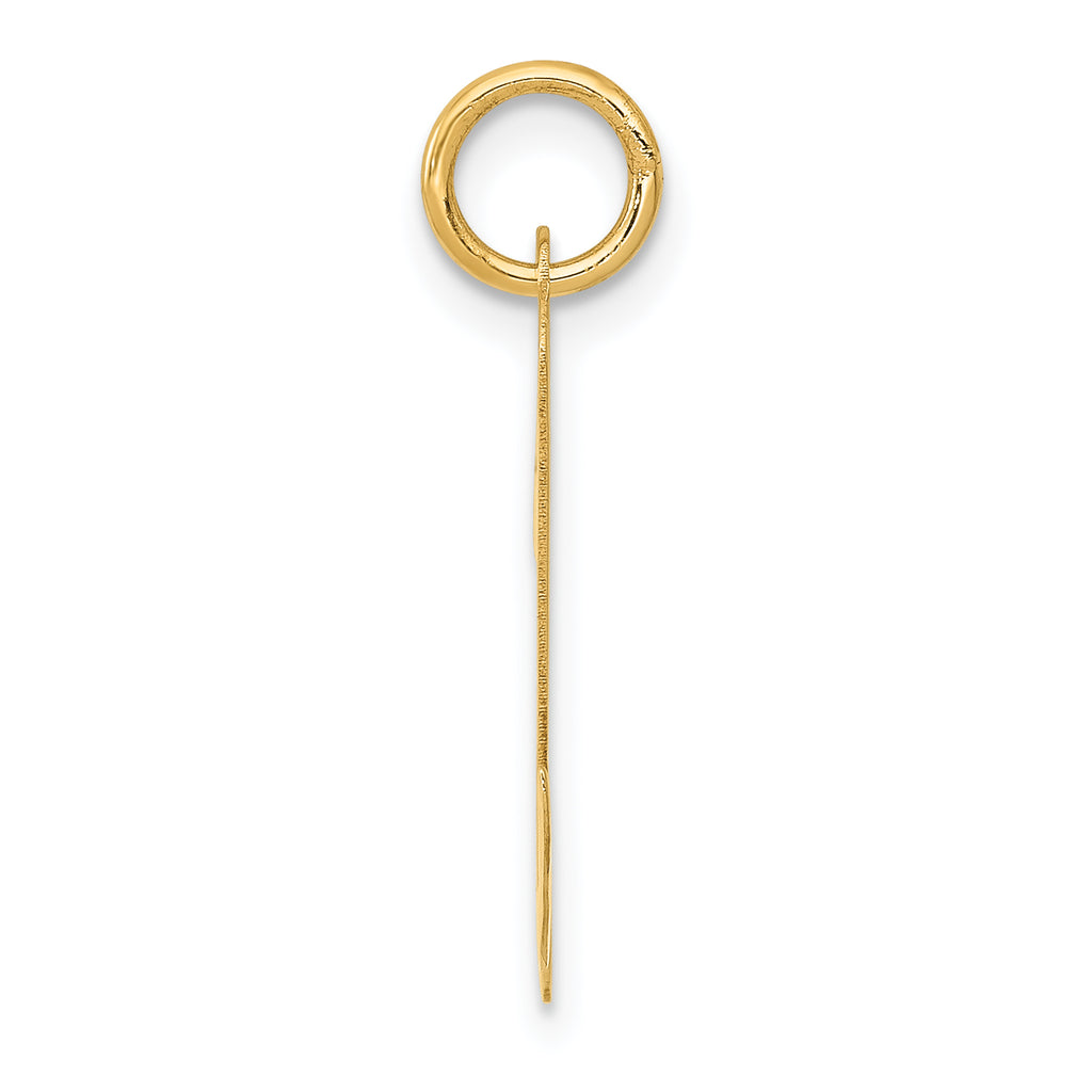 14K Large Script Initial N Charm