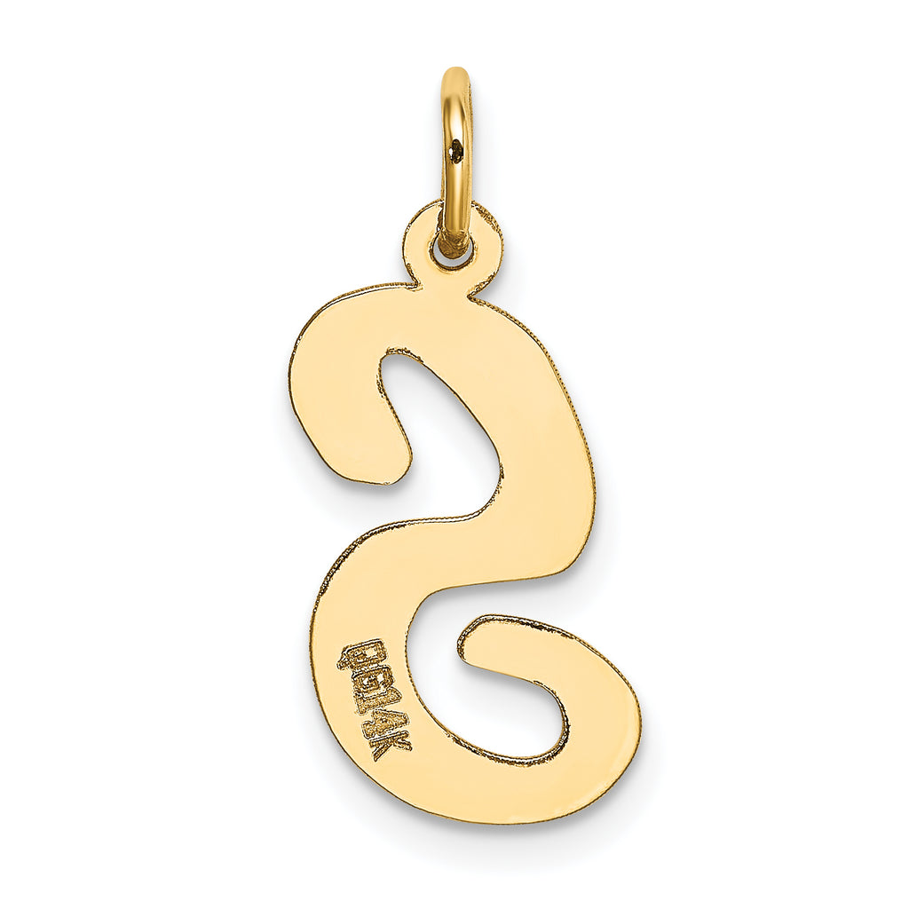 14K Large Script Initial S Charm