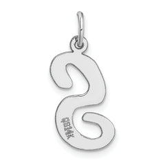 14K White Gold Large Script Initial S Charm