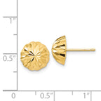 14k Gold Diamond-cut 10mm Domed Post Earrings