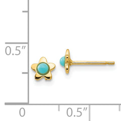 14k Polished Turquoise Star Post Earrings